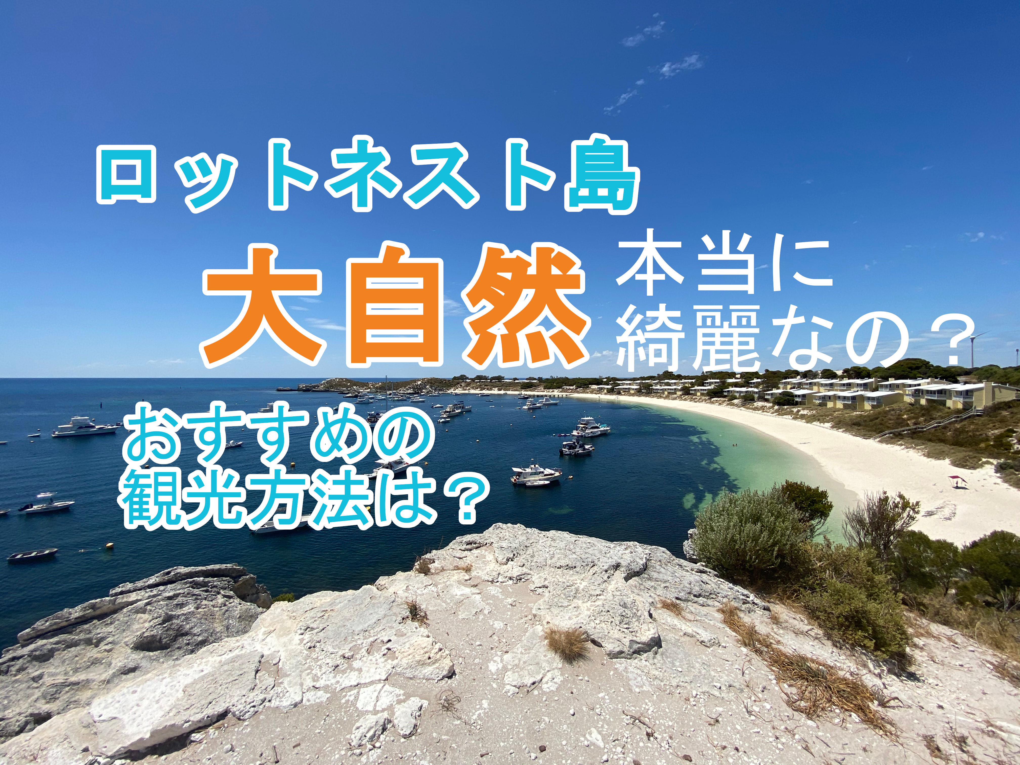 ロットネスト島 自然の様子は 海は綺麗 シャワーはある ピンクビーチとは おすすめの観光方法も紹介